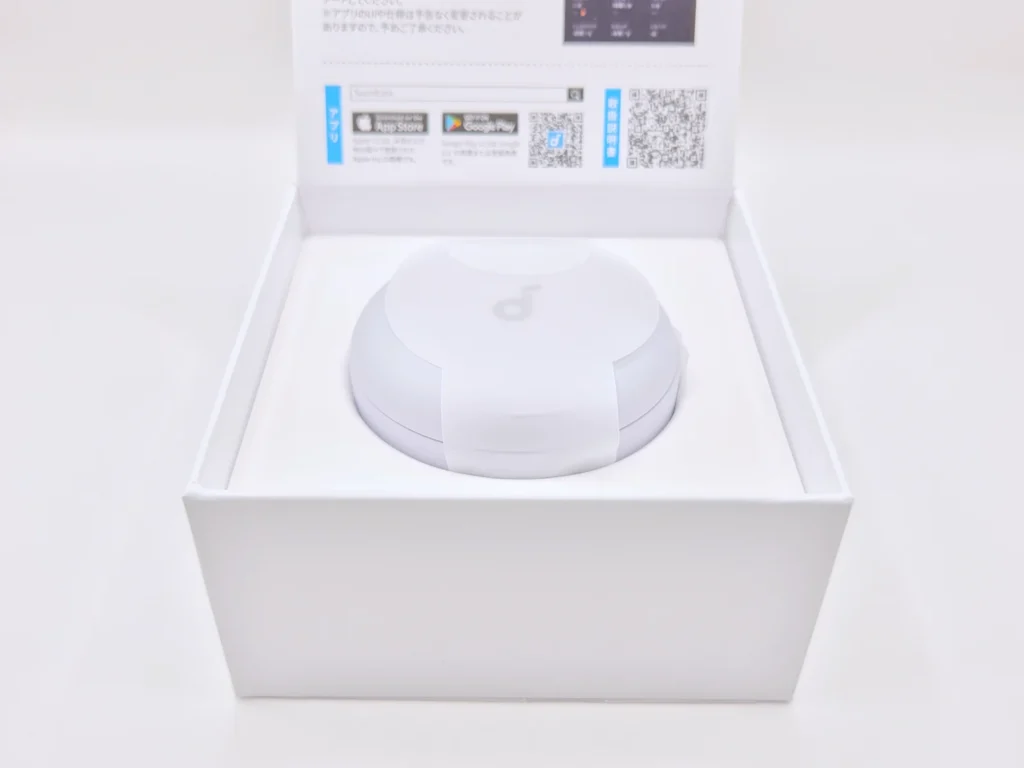 箱を開けると充電ケースが鎮座している